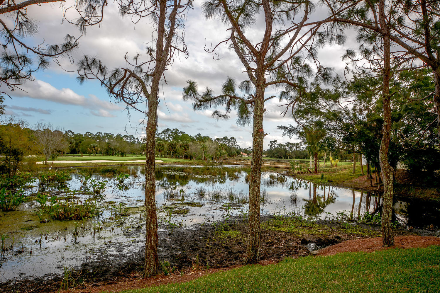 982 Southwest Blue Stem Way Stuart, FL 34997 - Photo 31 of 37 Golf and Lake Community