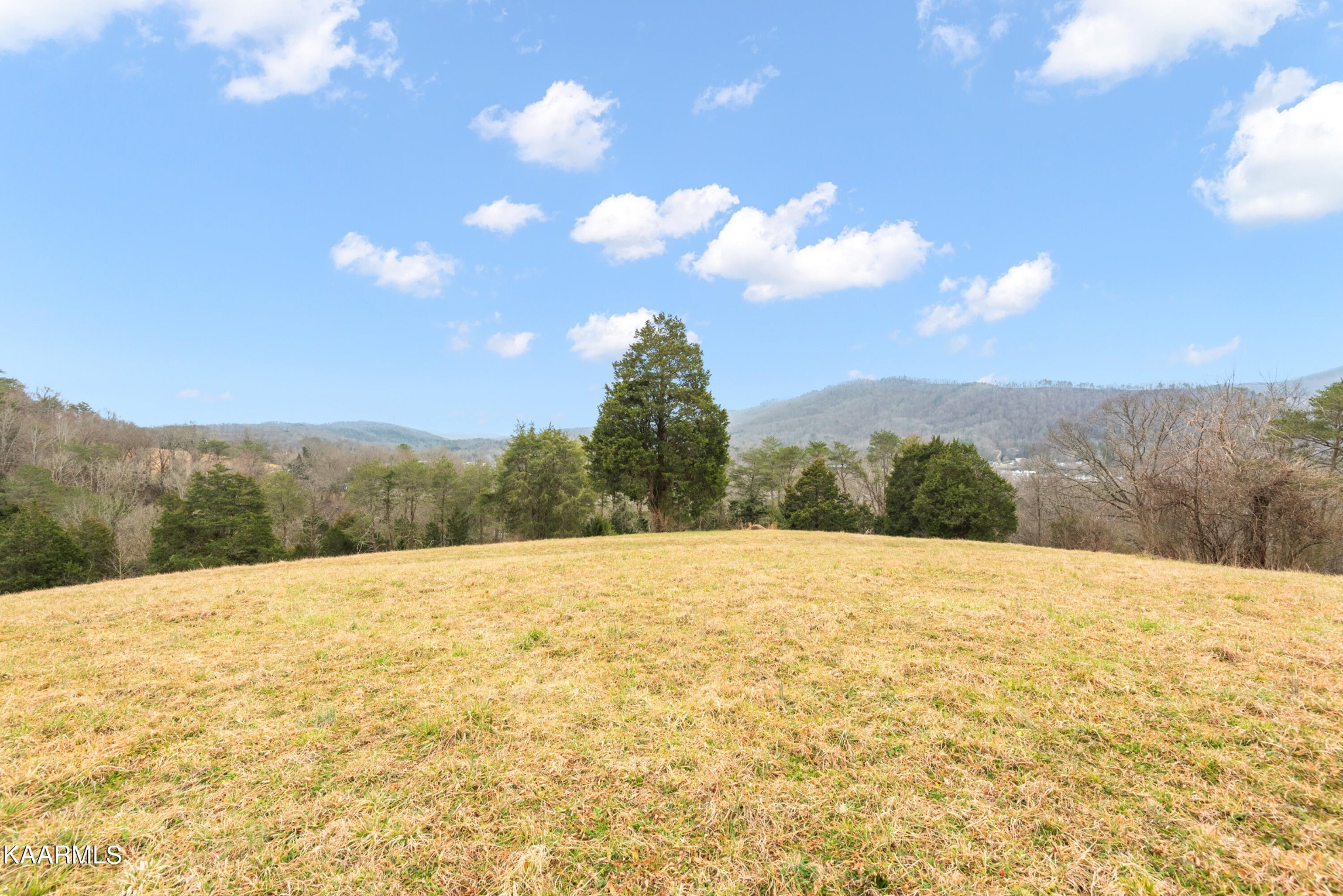 54 Echo Valley Road Rocky Top, TN 37769 - Photo 8 of 33 Gallery Image 8