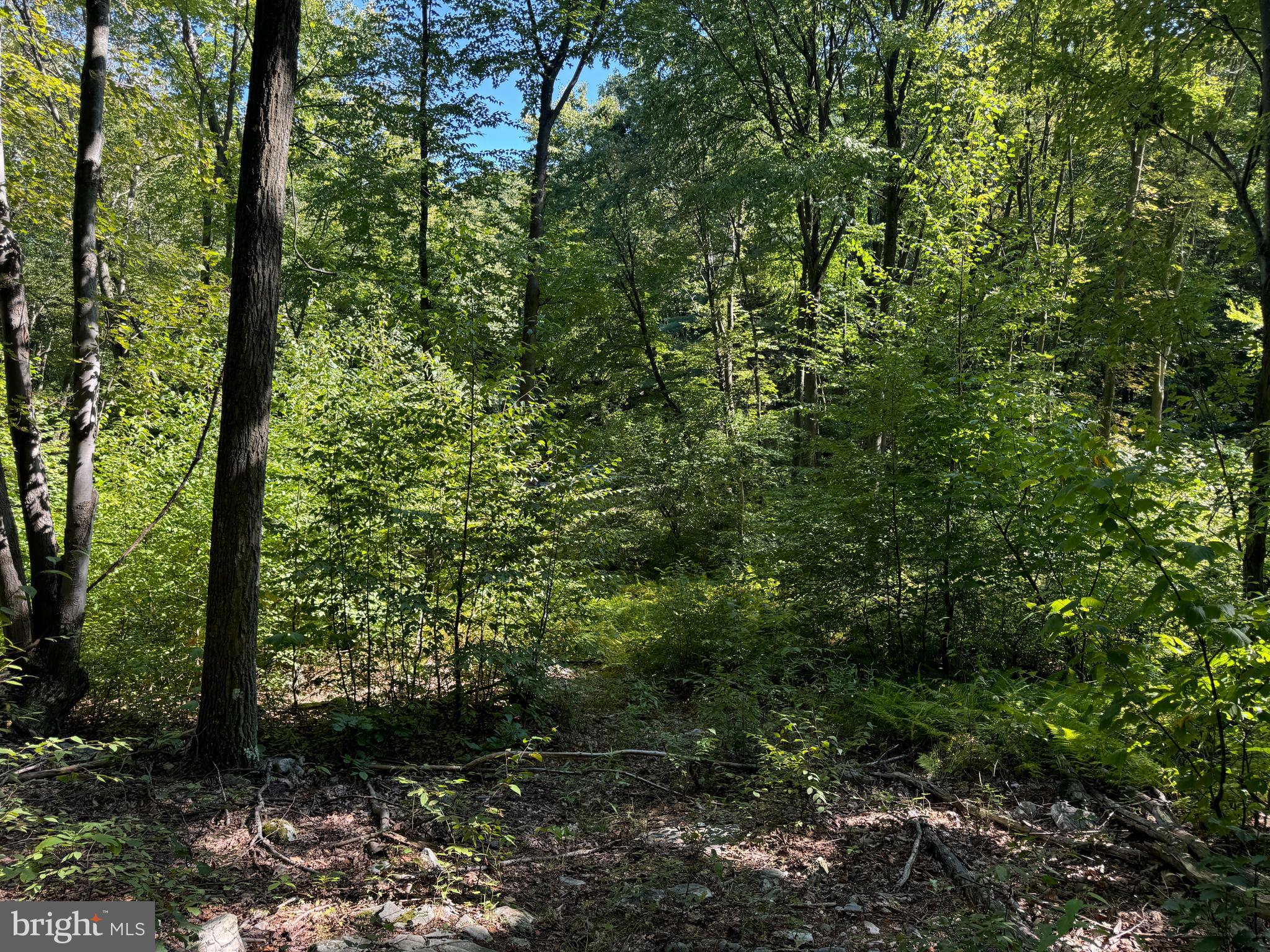 Three Laurel Mountain Road Three Springs, PA 17264 - Photo 24 of 31 Gallery Image 24