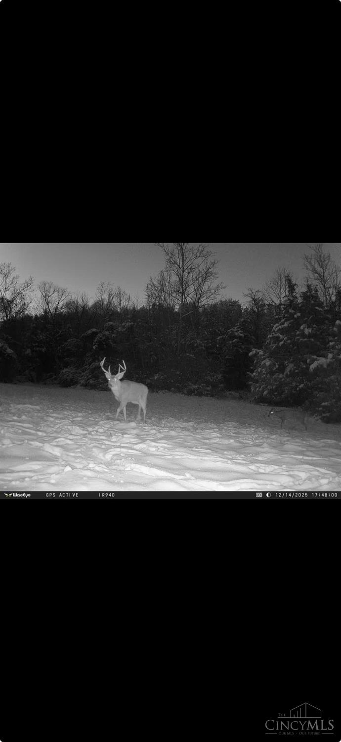 0 Harriet Road Hillsboro, OH 45133 - Photo 38 of 96