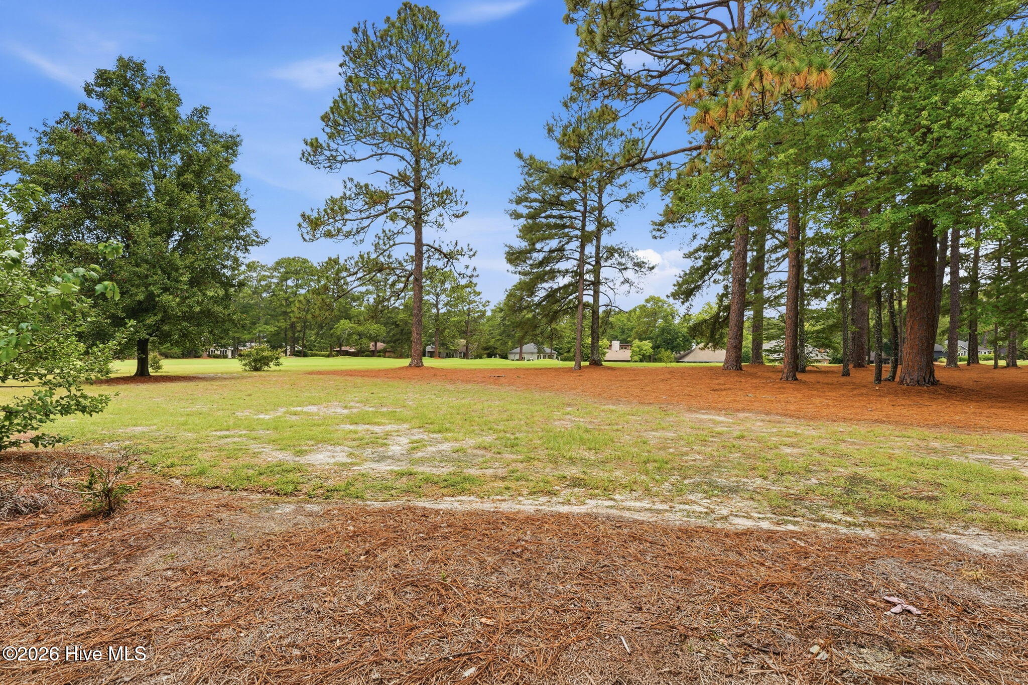 10 Pine Tree Road, Unit 117 Pinehurst, NC 28374 - Photo 28 of 53 Gallery Image 28