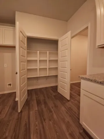 a room with walk in closet and wooden floor