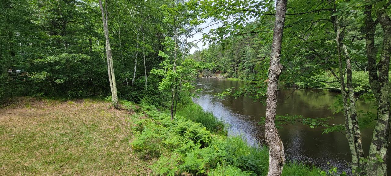 Lot Swamp Swamp Lake Road Tomahawk, WI 54487 - Photo 9 of 24 Gallery Image 9