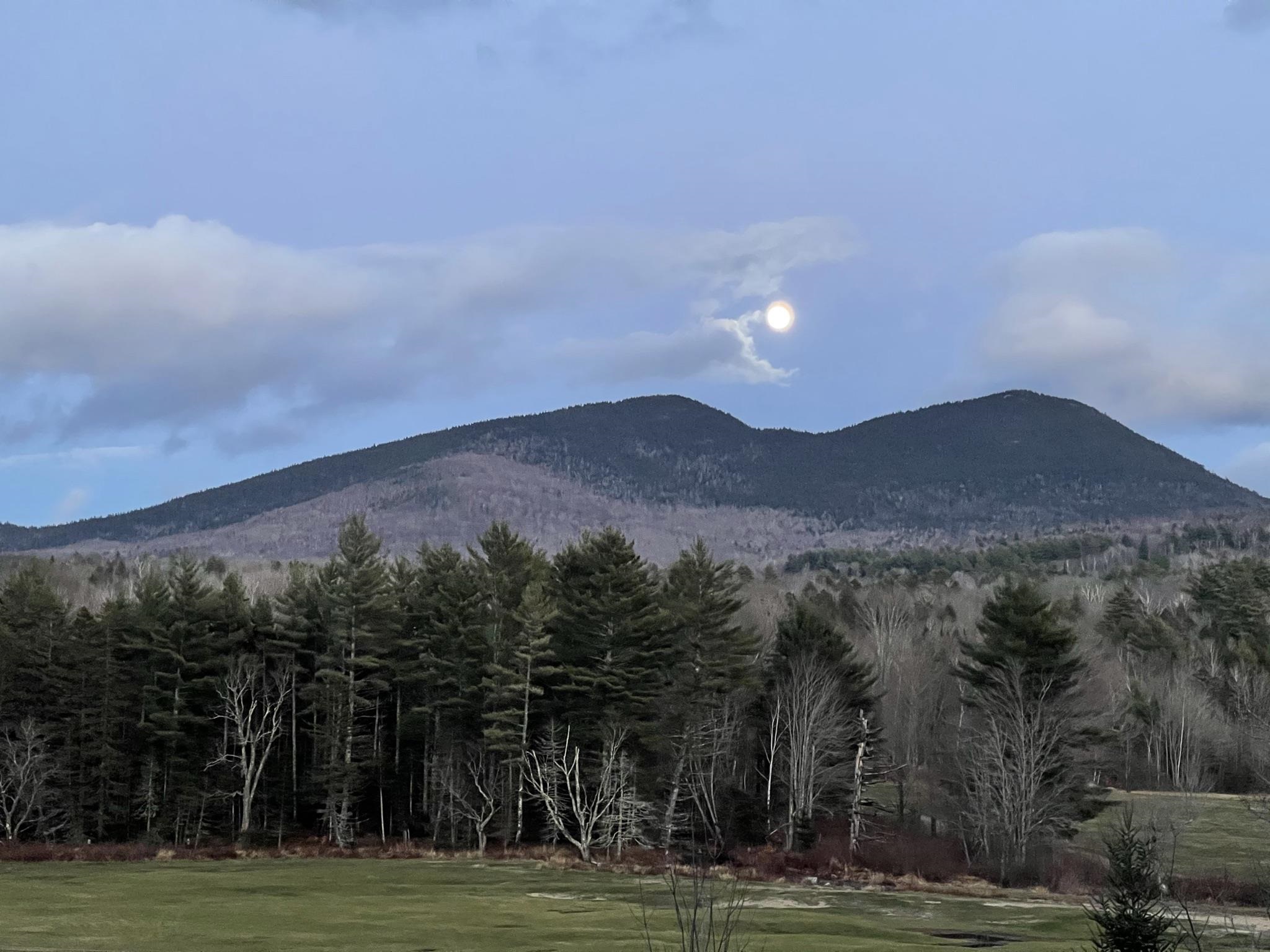 6 Riverview Road Jackson, NH 03846 - Photo 26 of 40