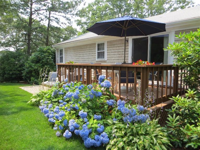 45 Setucket Road Yarmouth Port, MA 02675 - Photo 4 of 27 Additional Photo