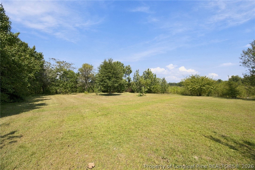 2376 South Robeson Road Rowland, NC 28383 - Photo 28 of 33 Gallery Image 28