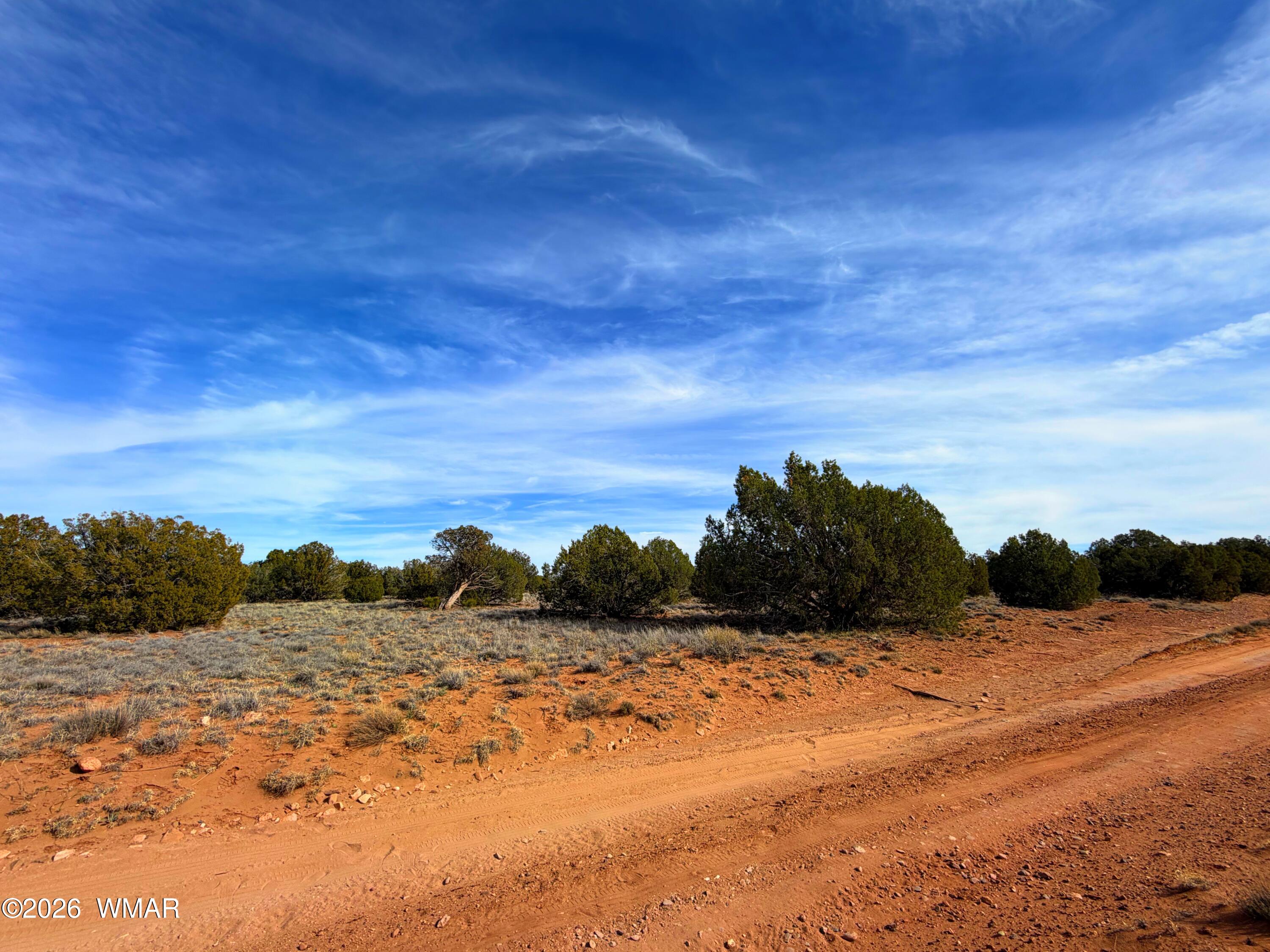 4039 Indian Bend Road Snowflake, AZ 85937 - Photo 11 of 26 IMG_2288