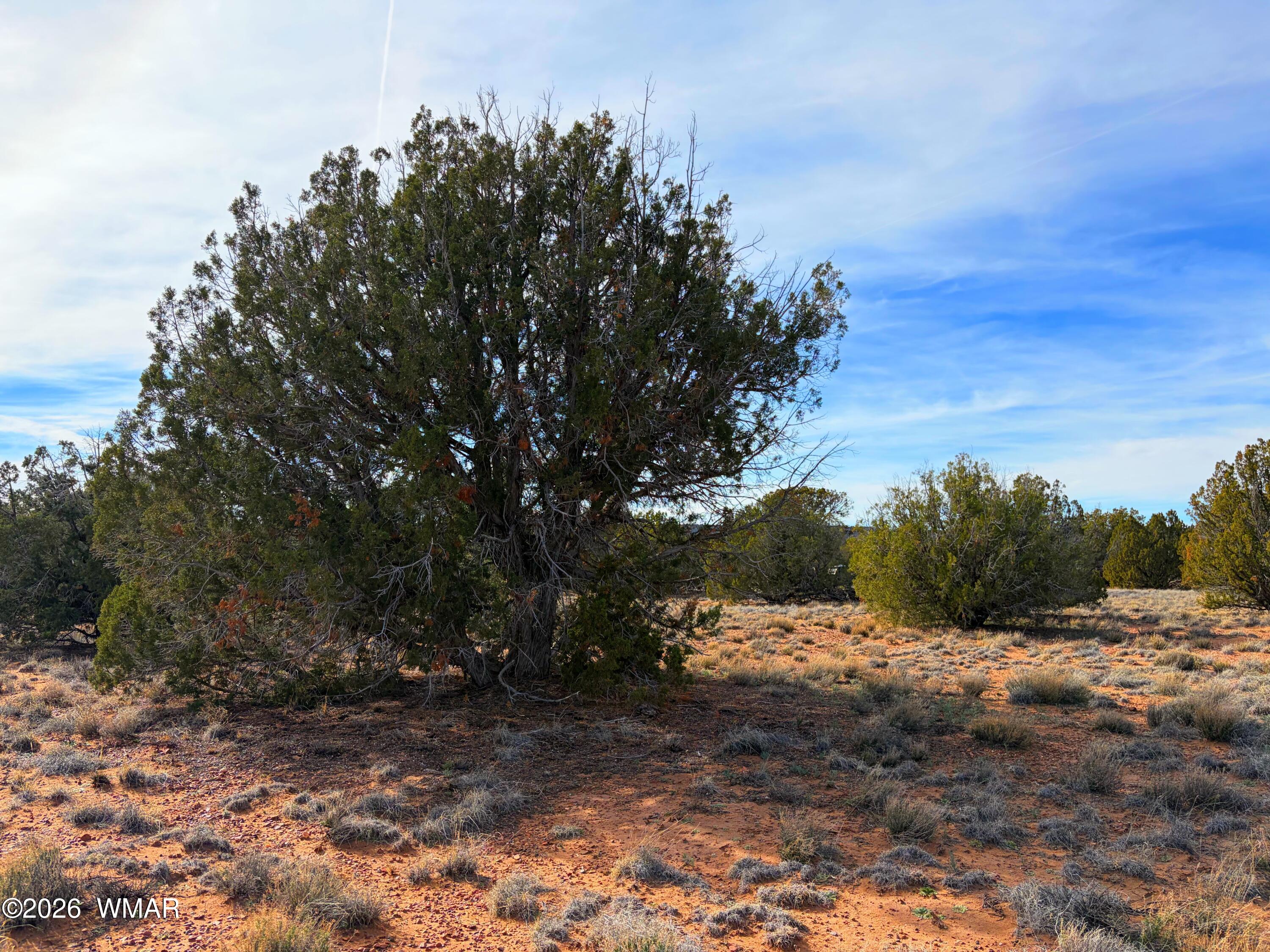 4039 Indian Bend Road Snowflake, AZ 85937 - Photo 12 of 26 IMG_2291