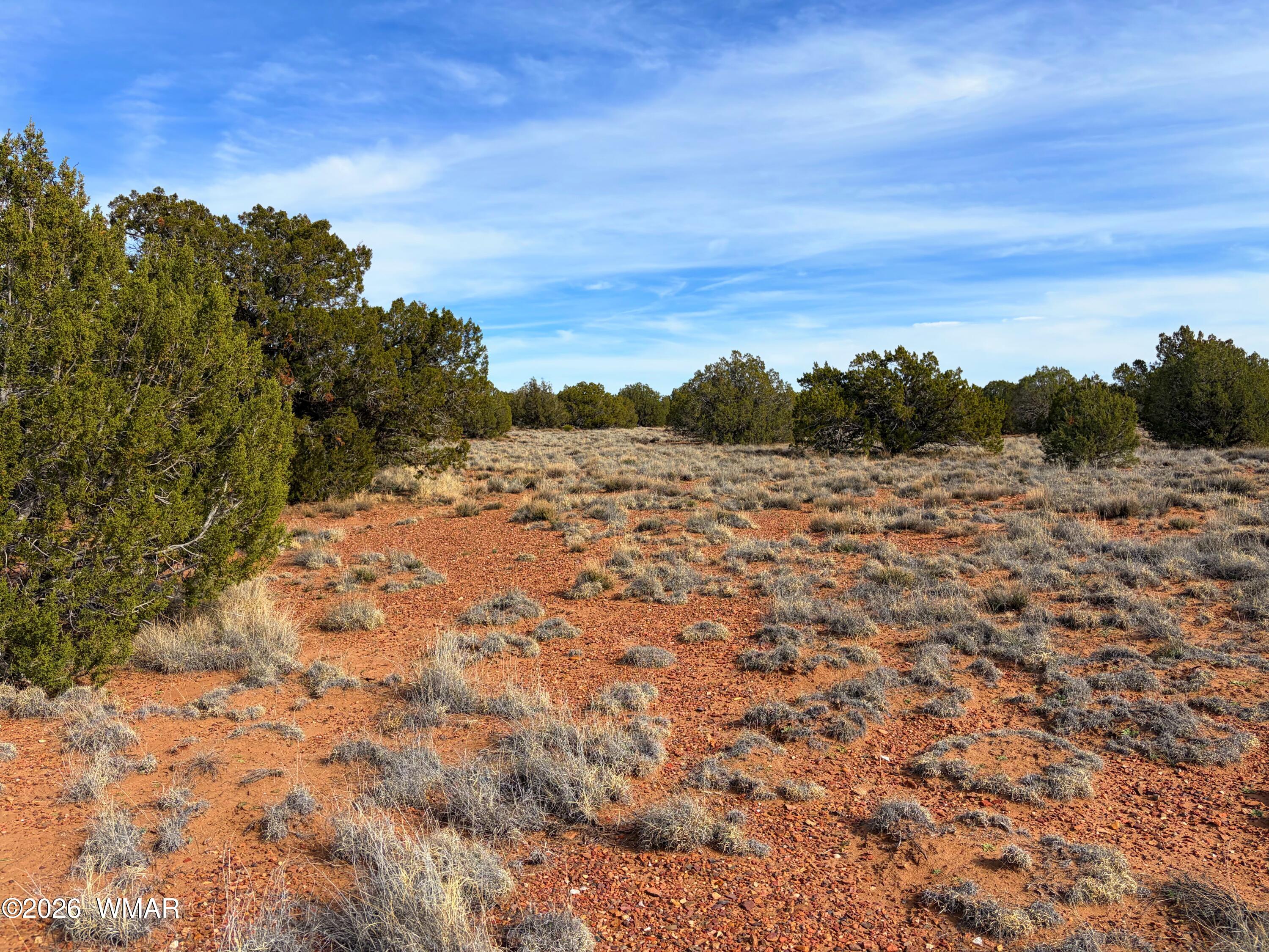 4039 Indian Bend Road Snowflake, AZ 85937 - Photo 13 of 26 IMG_2292