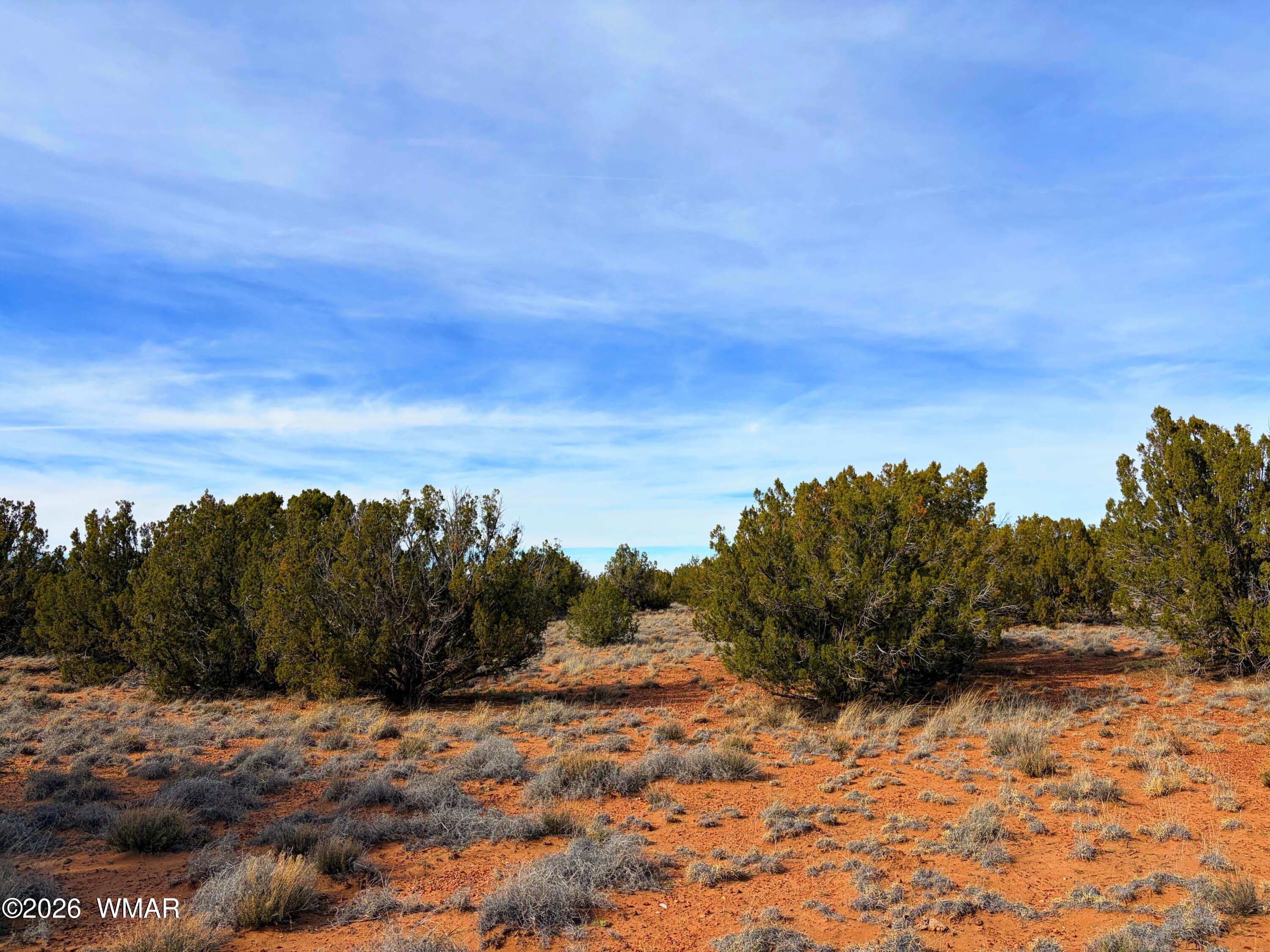 4039 Indian Bend Road Snowflake, AZ 85937 - Photo 14 of 26 IMG_2293