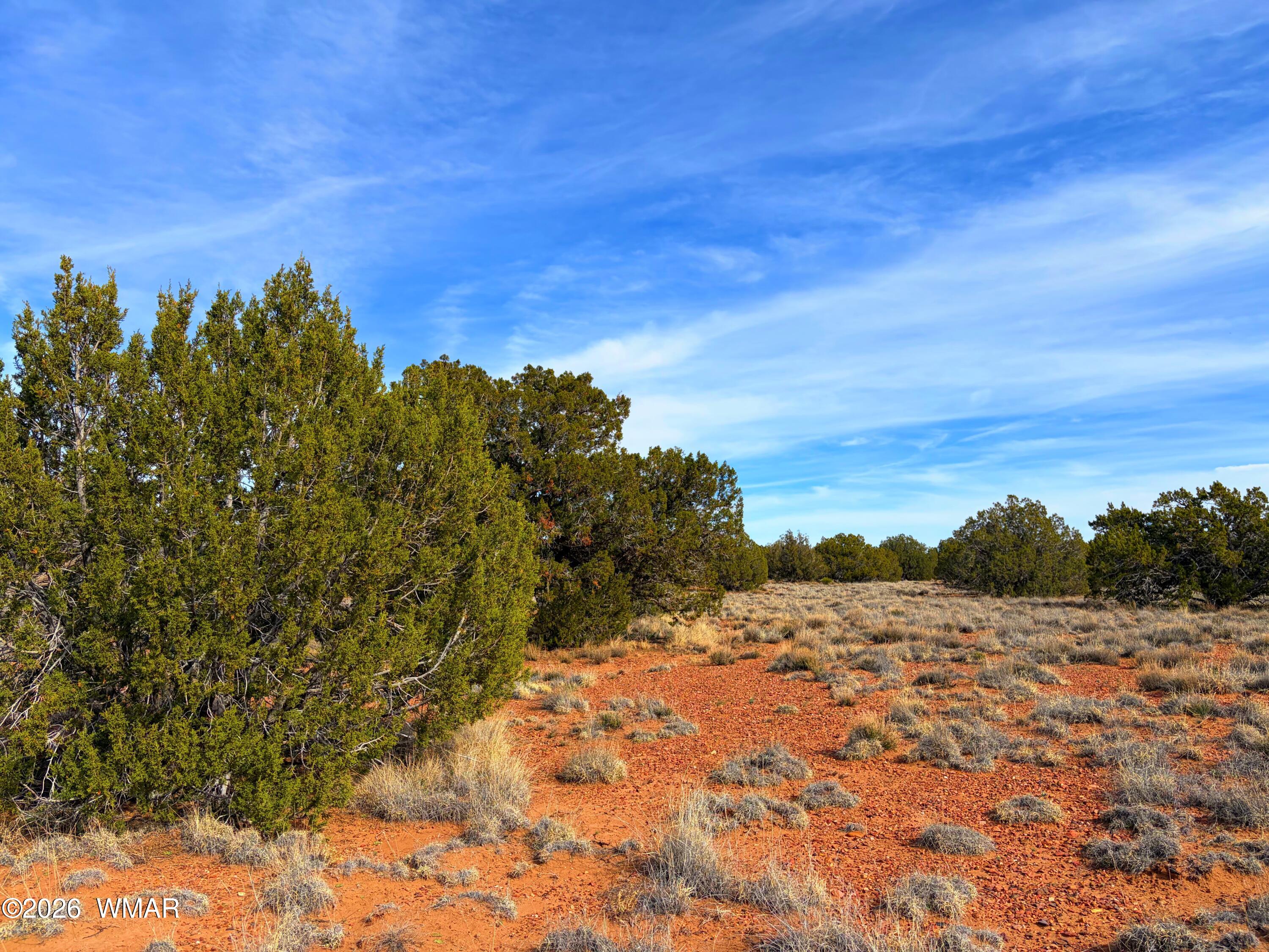 4039 Indian Bend Road Snowflake, AZ 85937 - Photo 15 of 26 IMG_2294
