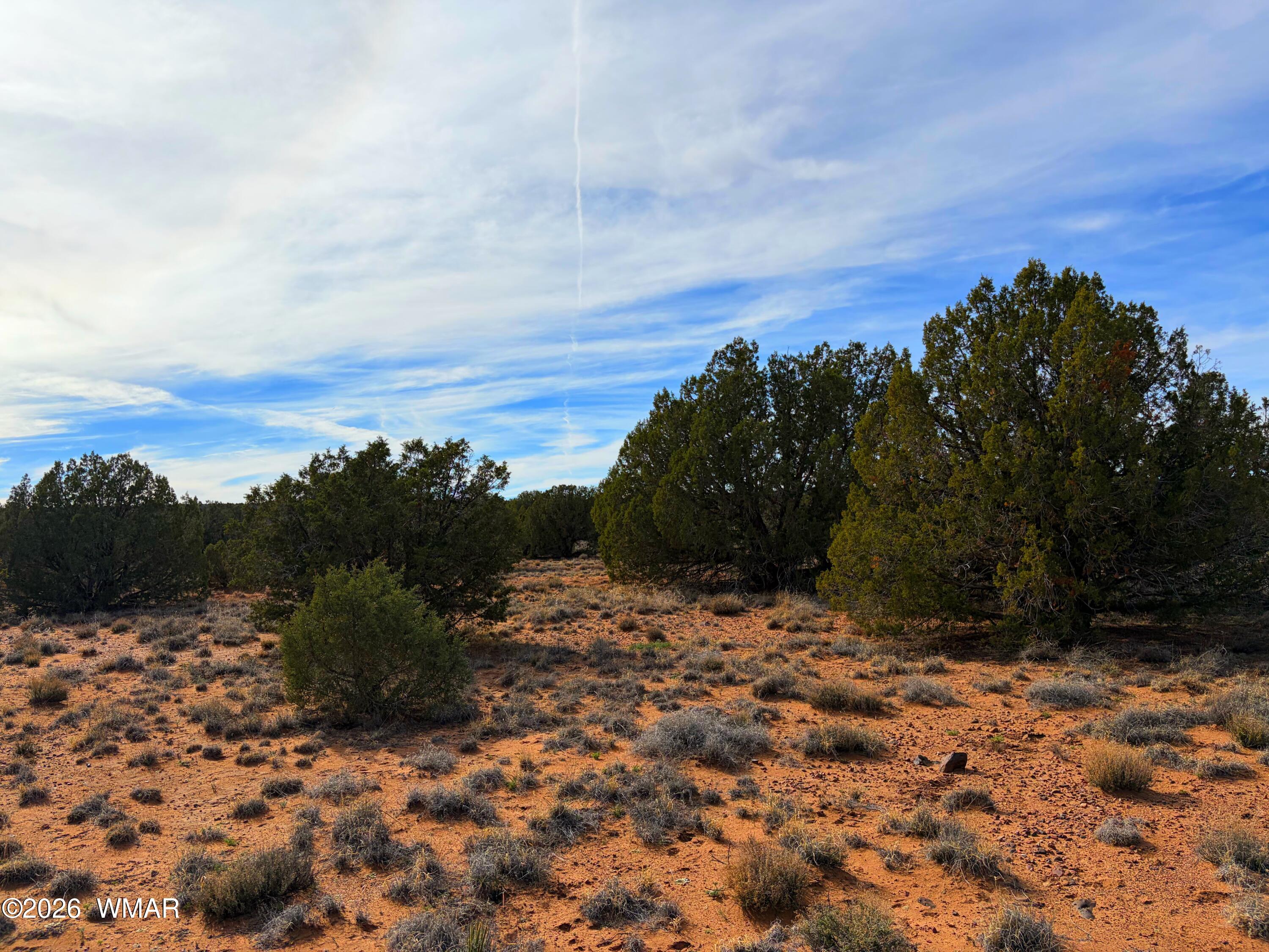 4039 Indian Bend Road Snowflake, AZ 85937 - Photo 19 of 26 IMG_2298