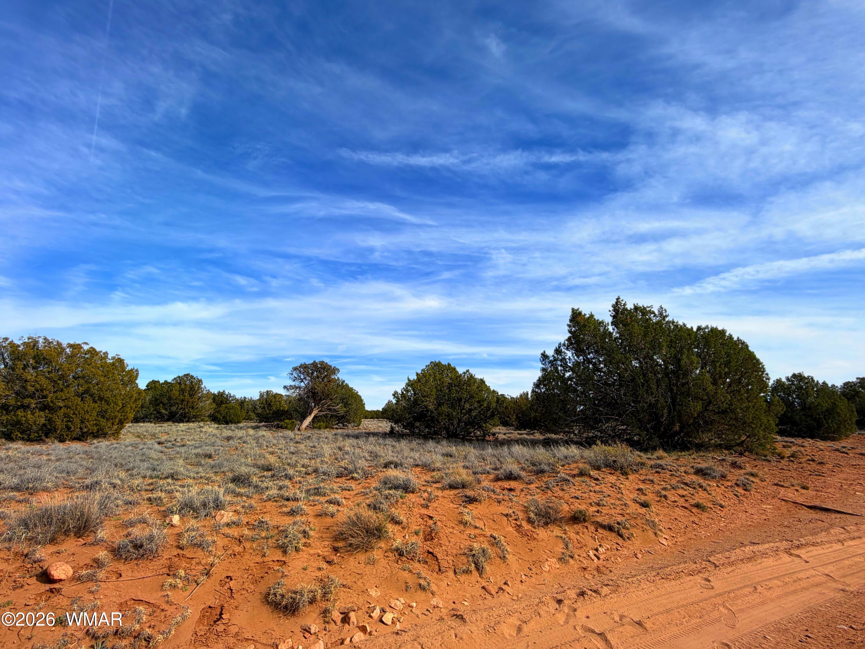 4039 Indian Bend Road Snowflake, AZ 85937 - Photo 20 of 26 IMG_2299