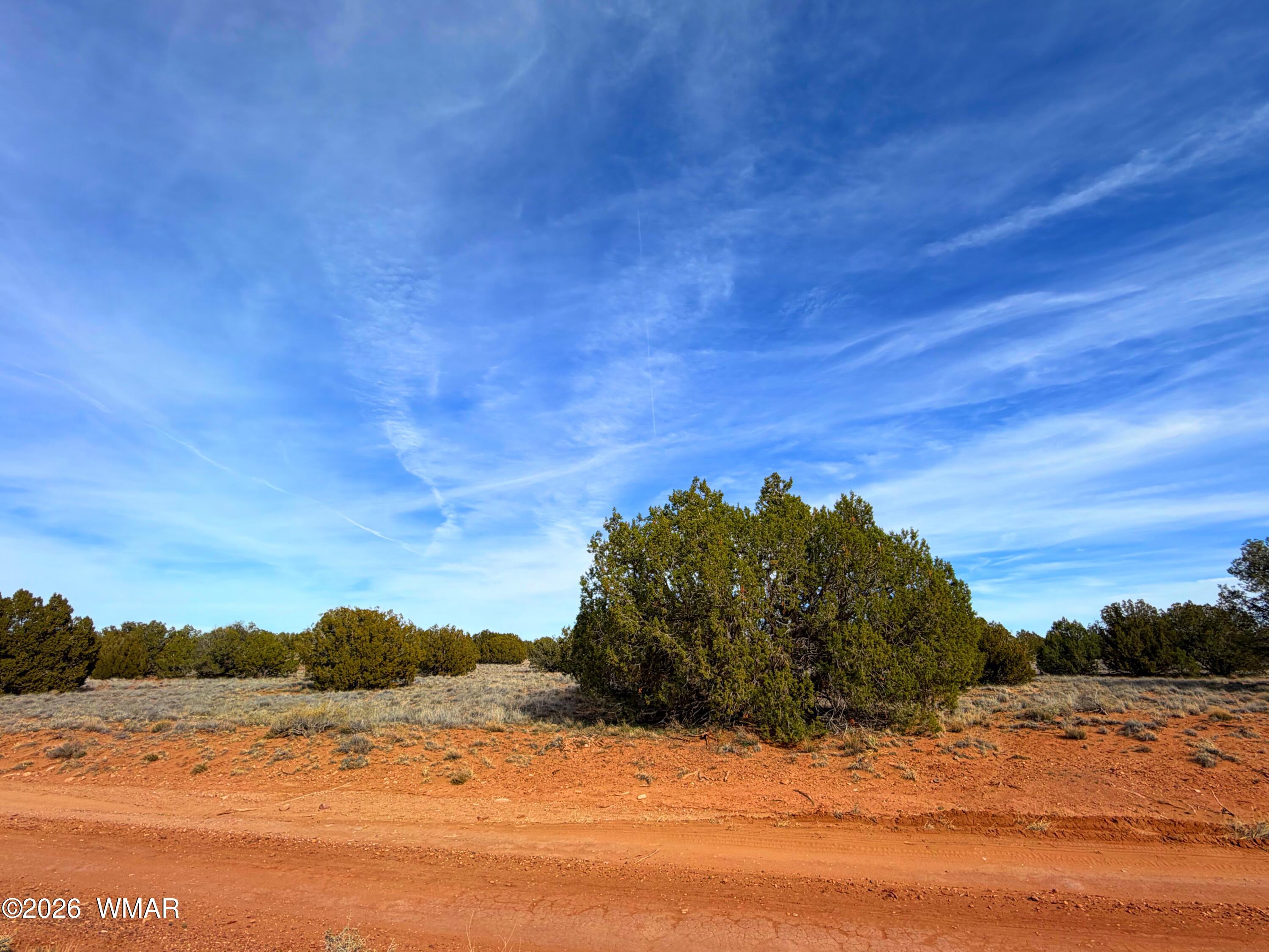 4039 Indian Bend Road Snowflake, AZ 85937 - Photo 21 of 26 IMG_2300