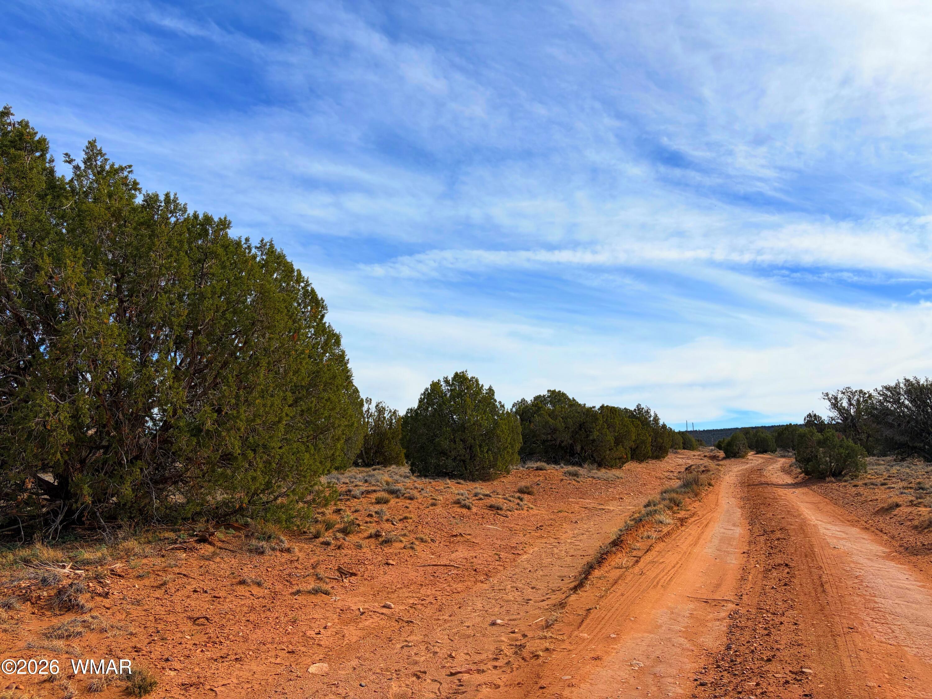 4039 Indian Bend Road Snowflake, AZ 85937 - Photo 22 of 26 IMG_2303