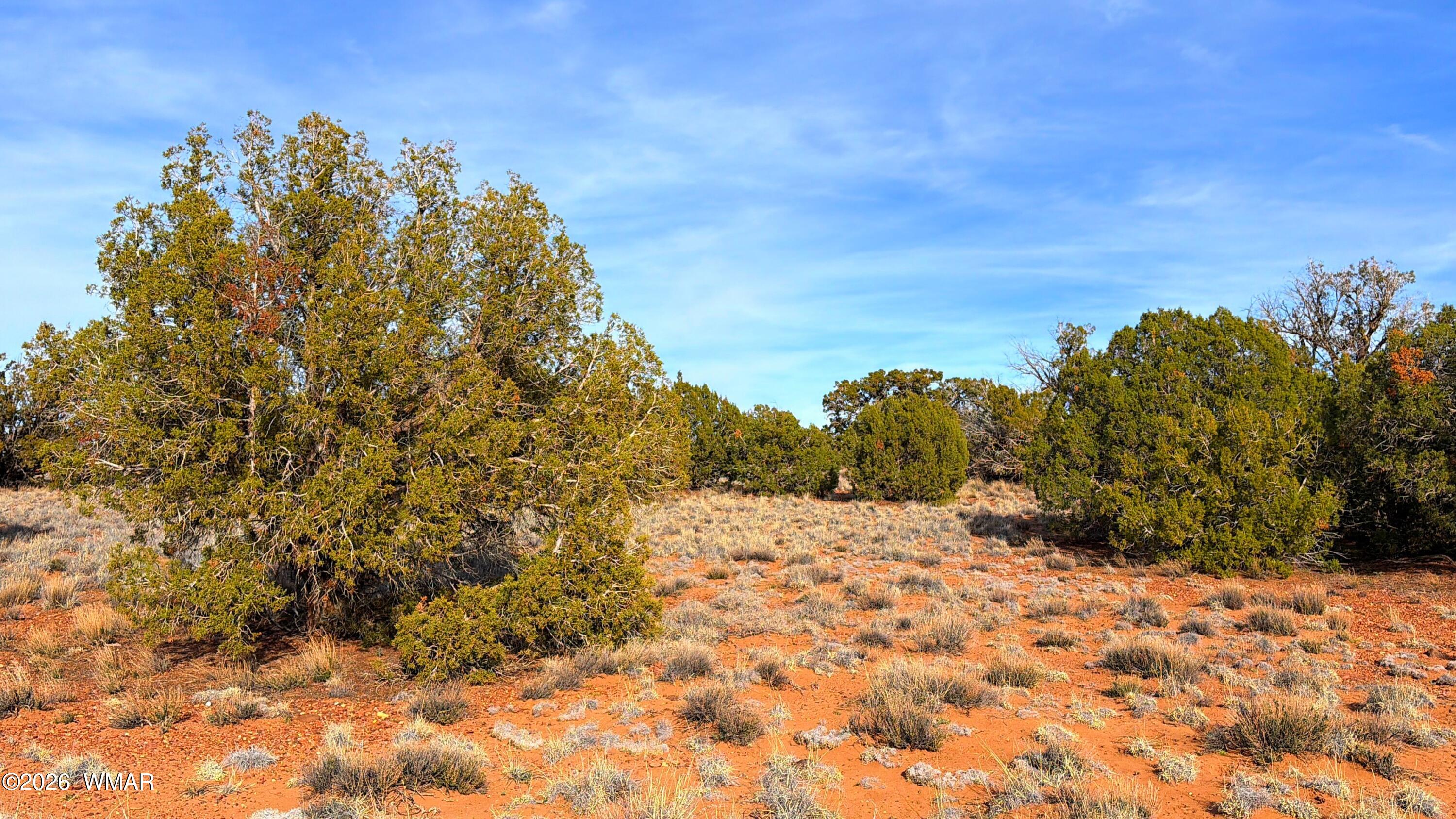 4039 Indian Bend Road Snowflake, AZ 85937 - Photo 23 of 26 IMG_2343