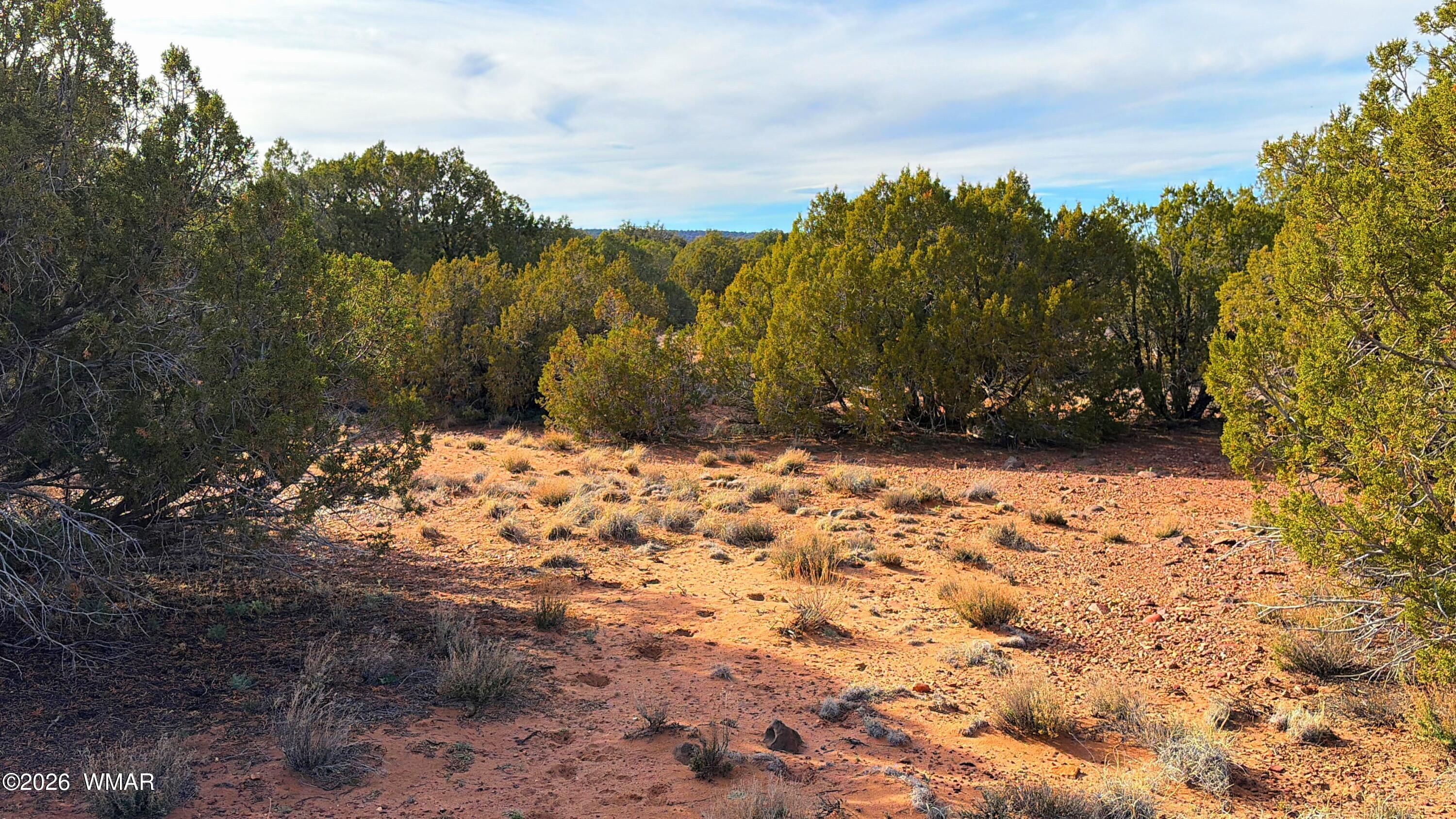 4039 Indian Bend Road Snowflake, AZ 85937 - Photo 24 of 26 IMG_2345
