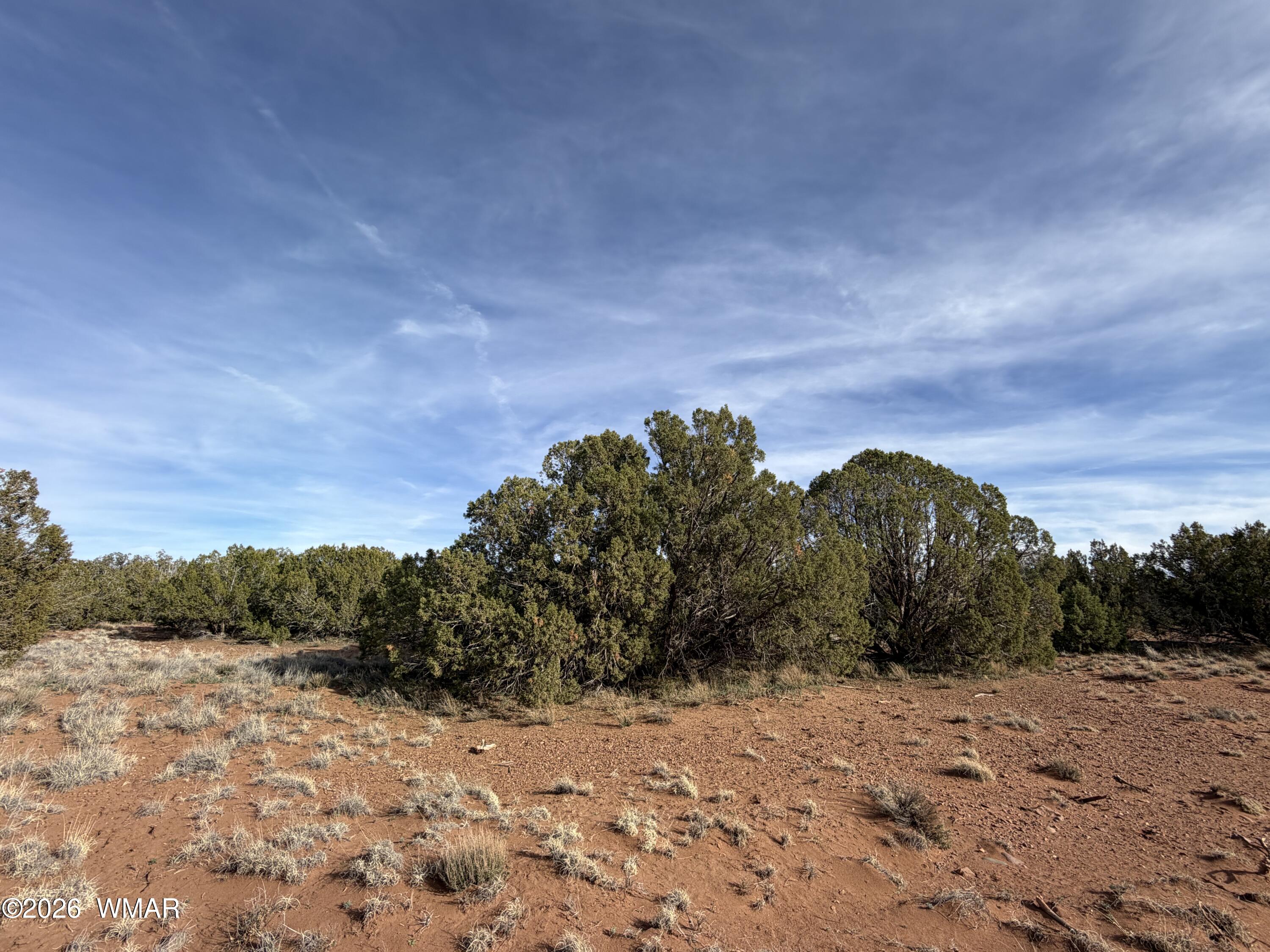 4039 Indian Bend Road Snowflake, AZ 85937 - Photo 25 of 26 IMG_2354