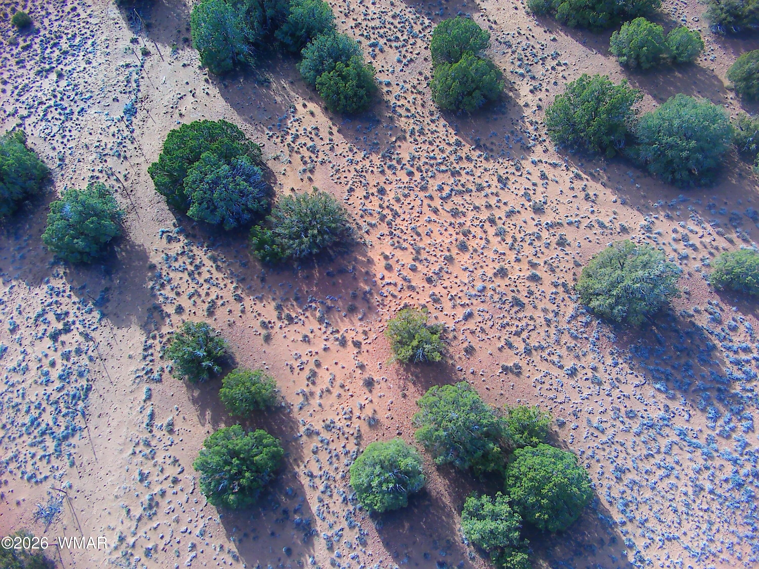 4039 Indian Bend Road Snowflake, AZ 85937 - Photo 9 of 26 20260228160008