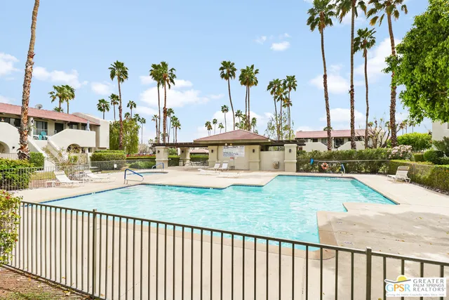 a view of a swimming pool with a lawn chairs and palm tree