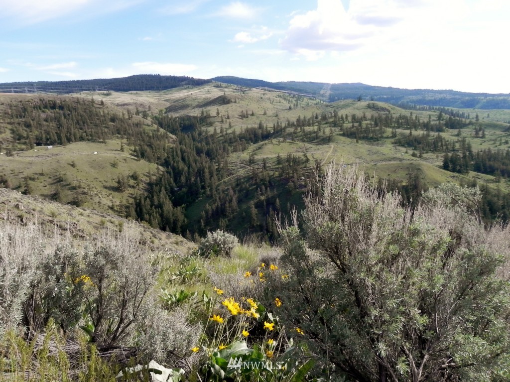 96-lot Tyee View Loop Road Waterville, WA 98858 - Photo 1 of 5 Gallery Image 1