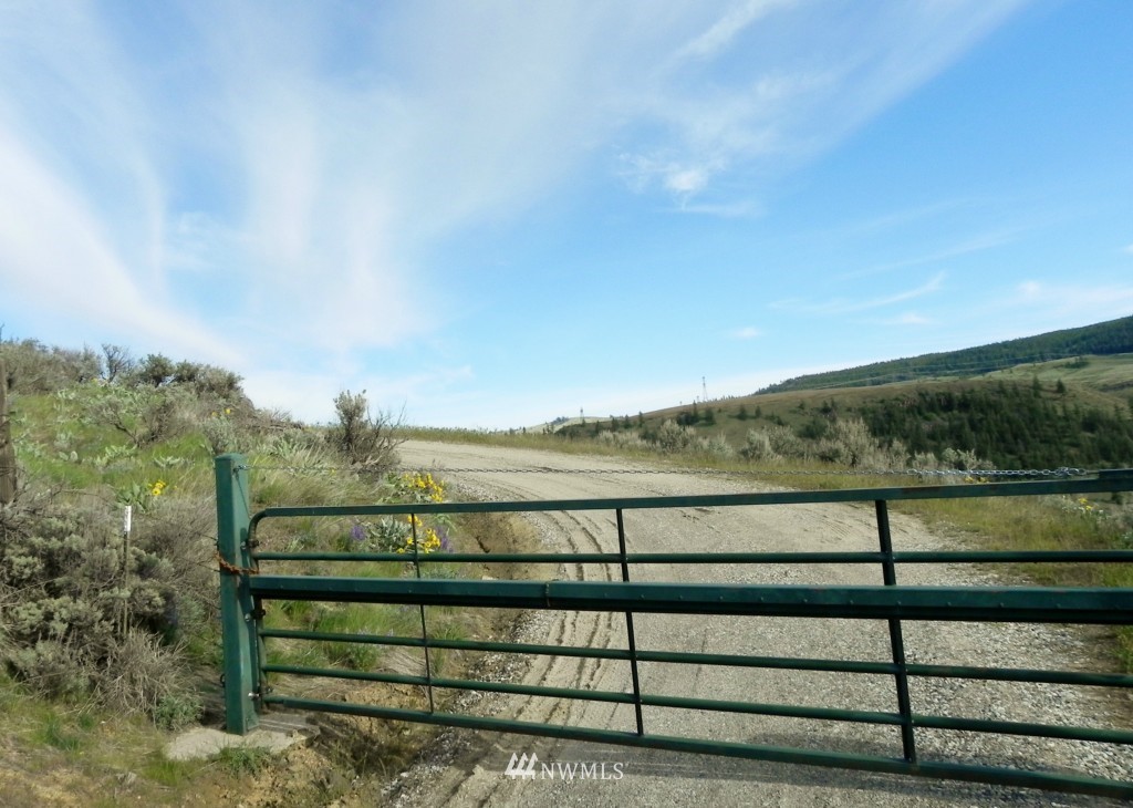 96-lot Tyee View Loop Road Waterville, WA 98858 - Photo 2 of 5 Gallery Image 2