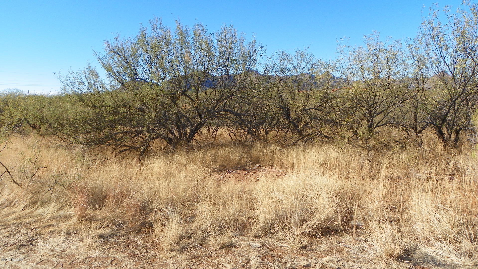 1499 Circulo Sombrero, Unit 2 Rio Rico, AZ 85648 - Photo 2 of 5 a view of a lake