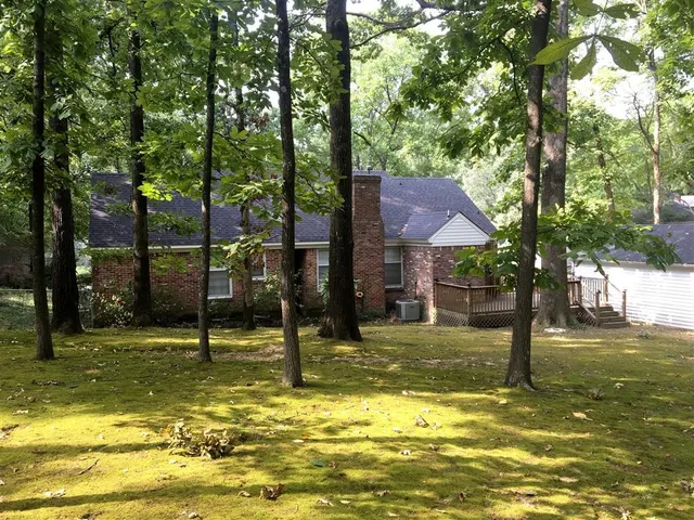 a view of a street with an trees