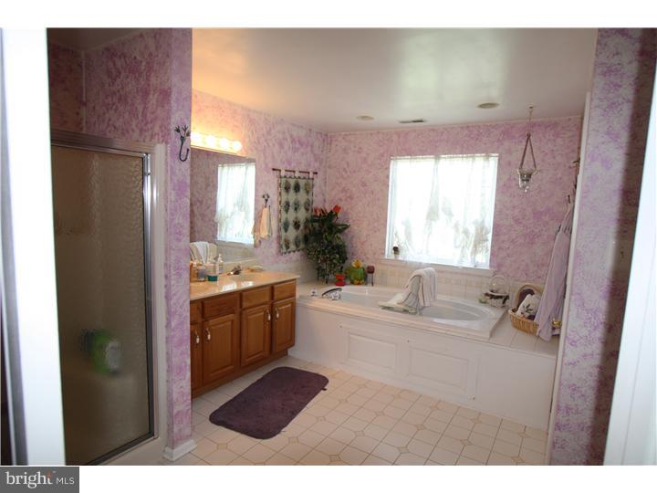 313 Rainey Road Woolwich Township, NJ 08085 - Photo 22 of 25 Bathroom