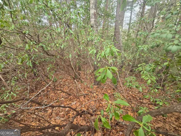 $18,500 | 35 Vienna Ring, Helen, GA 30545