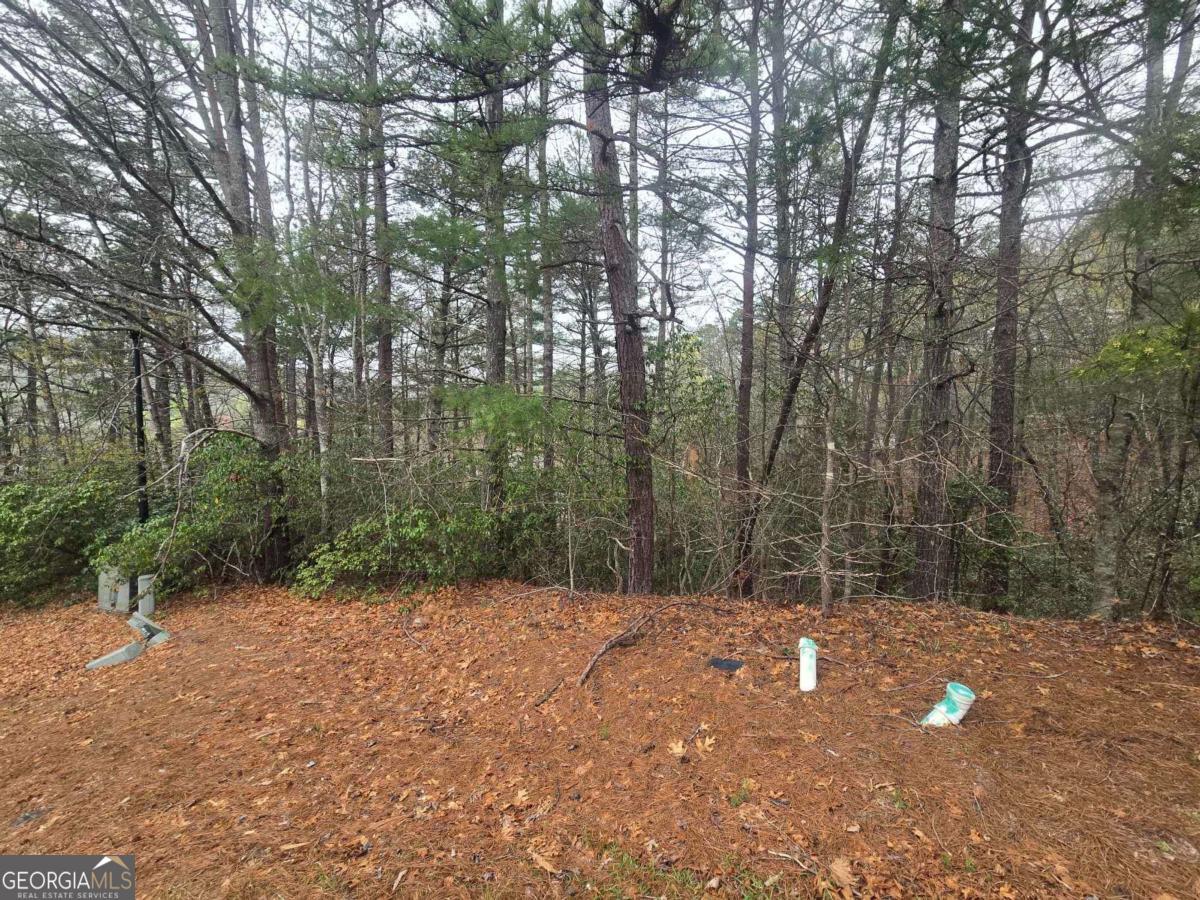 35 Vienna Ring Helen, GA 30545 - Photo 2 of 8