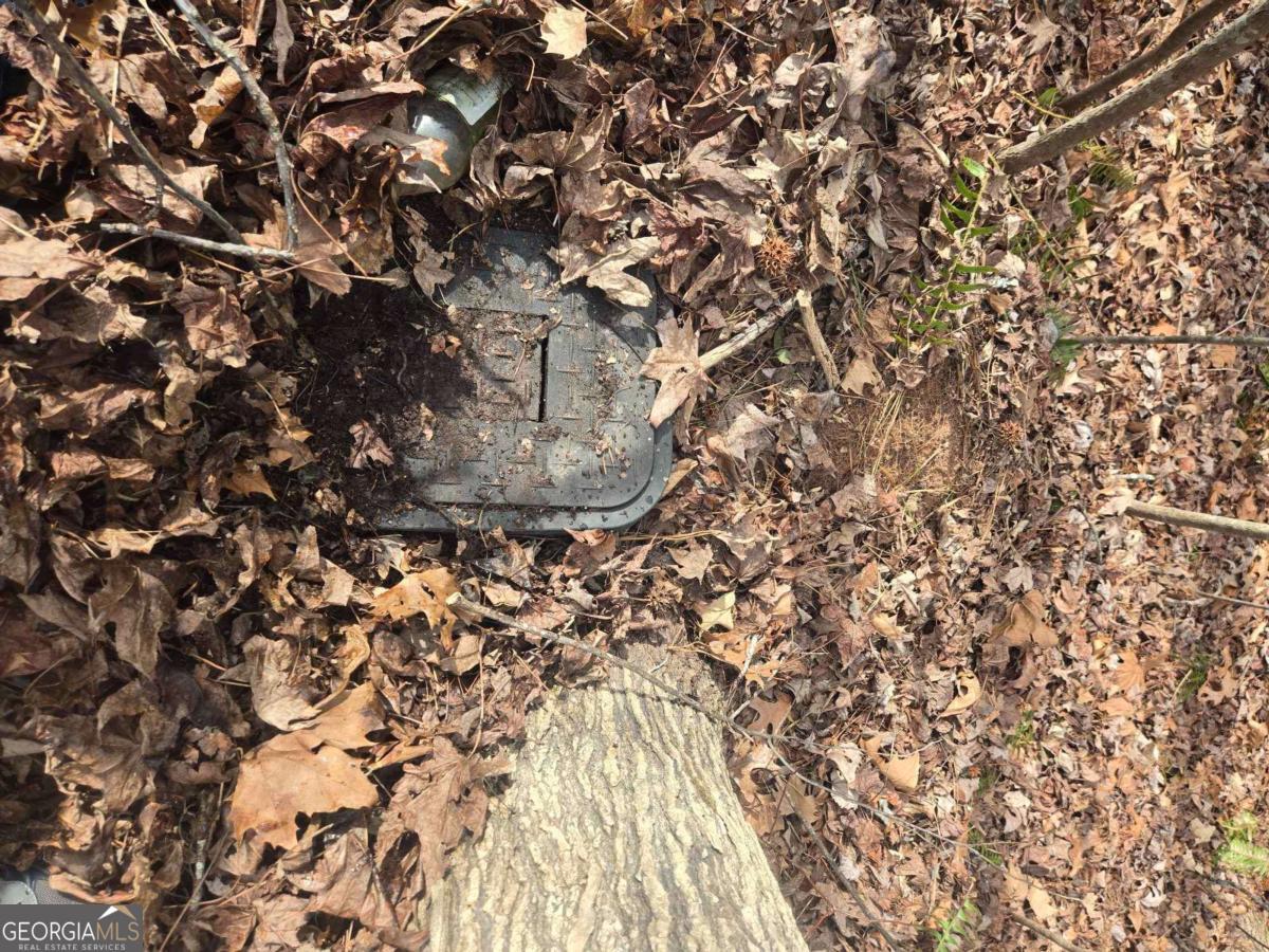 35 Vienna Ring Helen, GA 30545 - Photo 5 of 8