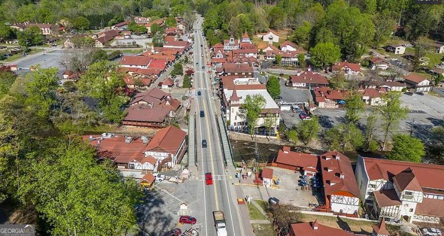 35 Vienna Ring Helen, GA 30545 - Photo 6 of 8