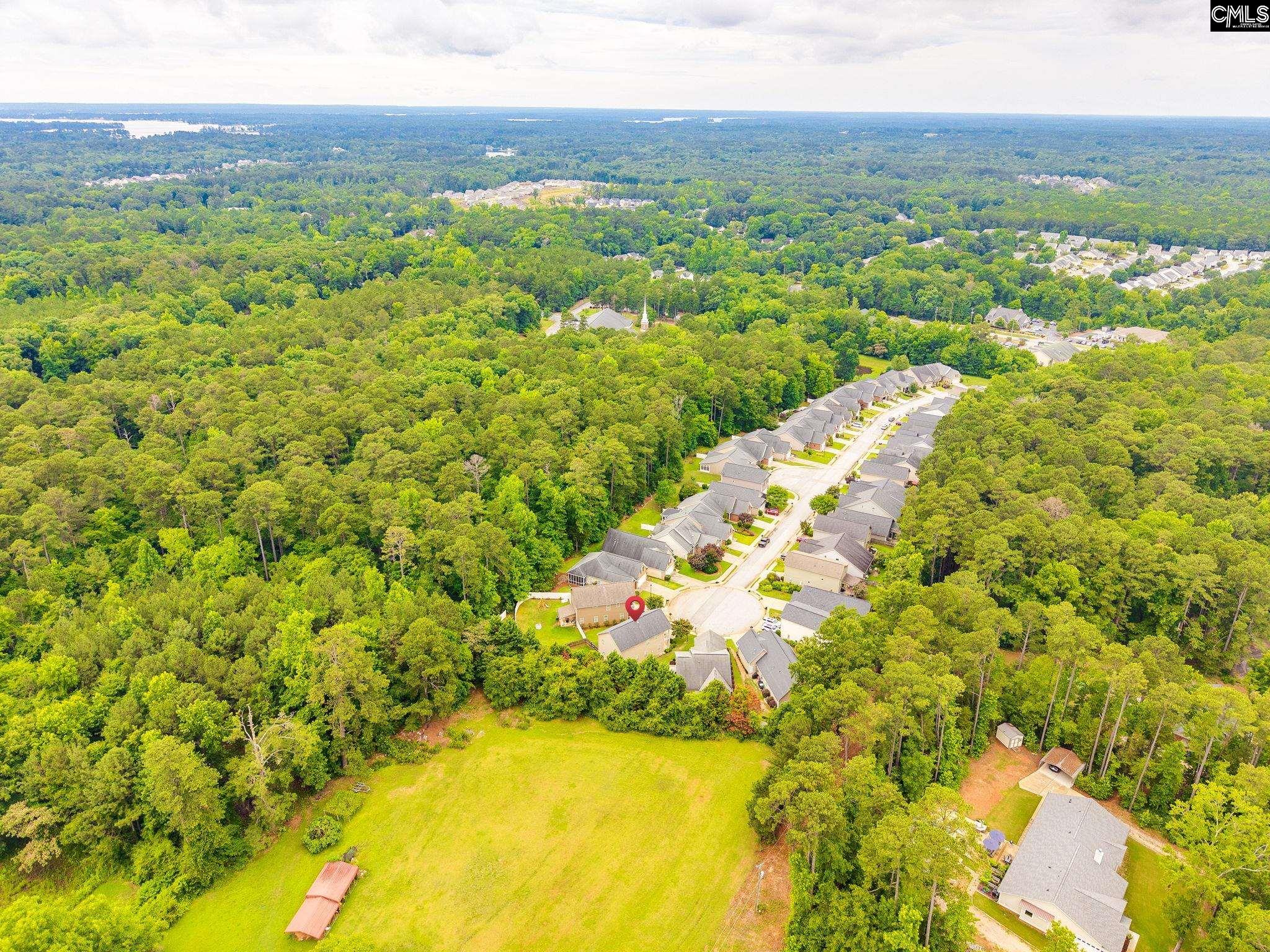 54 Revelstone Way Chapin, SC 29036 - Photo 39 of 40