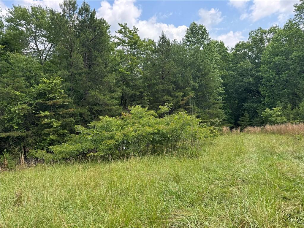 3.5-ac Ben Higgins Road Dahlonega, GA 30533 - Photo 12 of 21