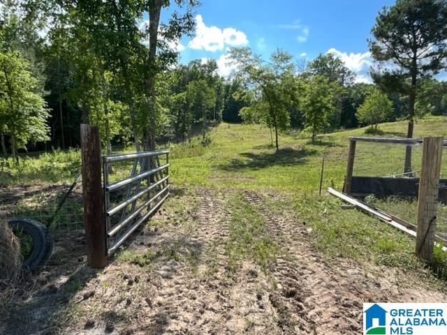 8134 Clairmont Springs Road Lineville, AL 36266 - Photo 10 of 36