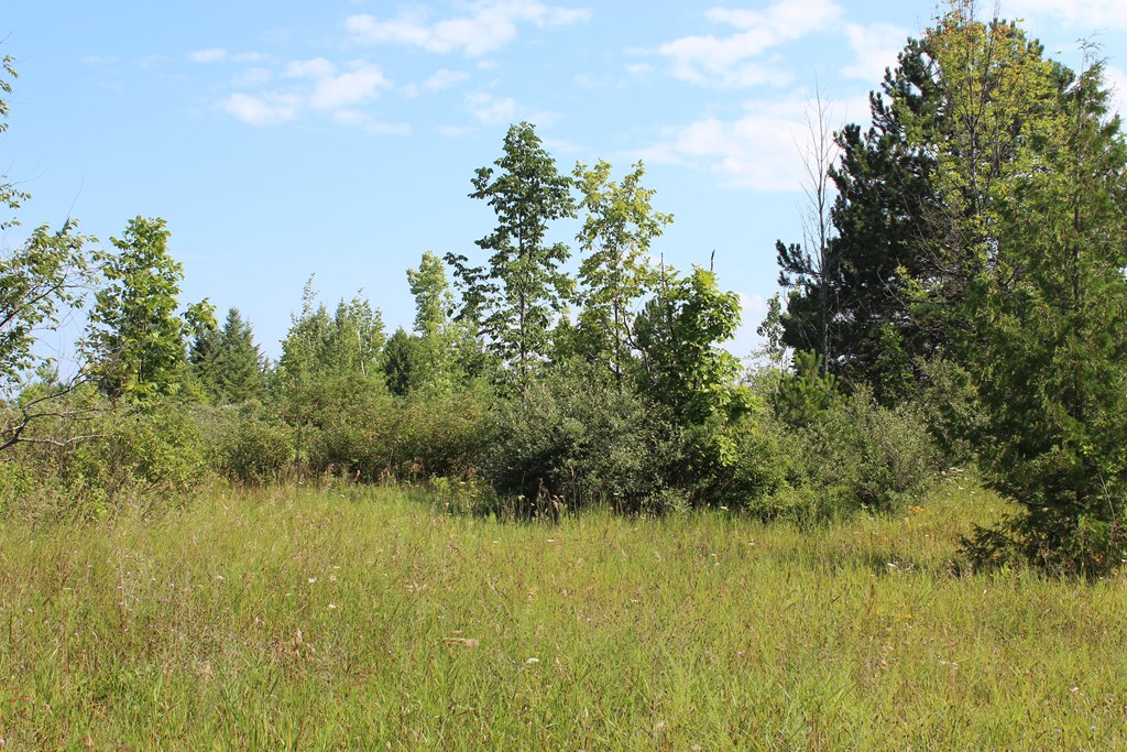Lot A2 Humbug Road Ellison Bay, WI 54210 - Photo 6 of 10