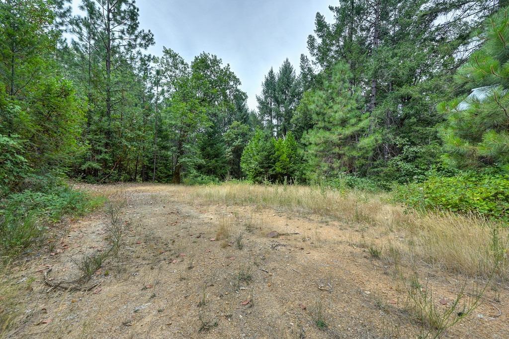 0 Marshall Road Georgetown, CA 95634 - Photo 1 of 15