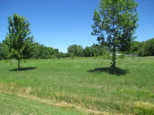 $55,000 | 23787 Reindeer Trail, Lake Villa, IL 60046