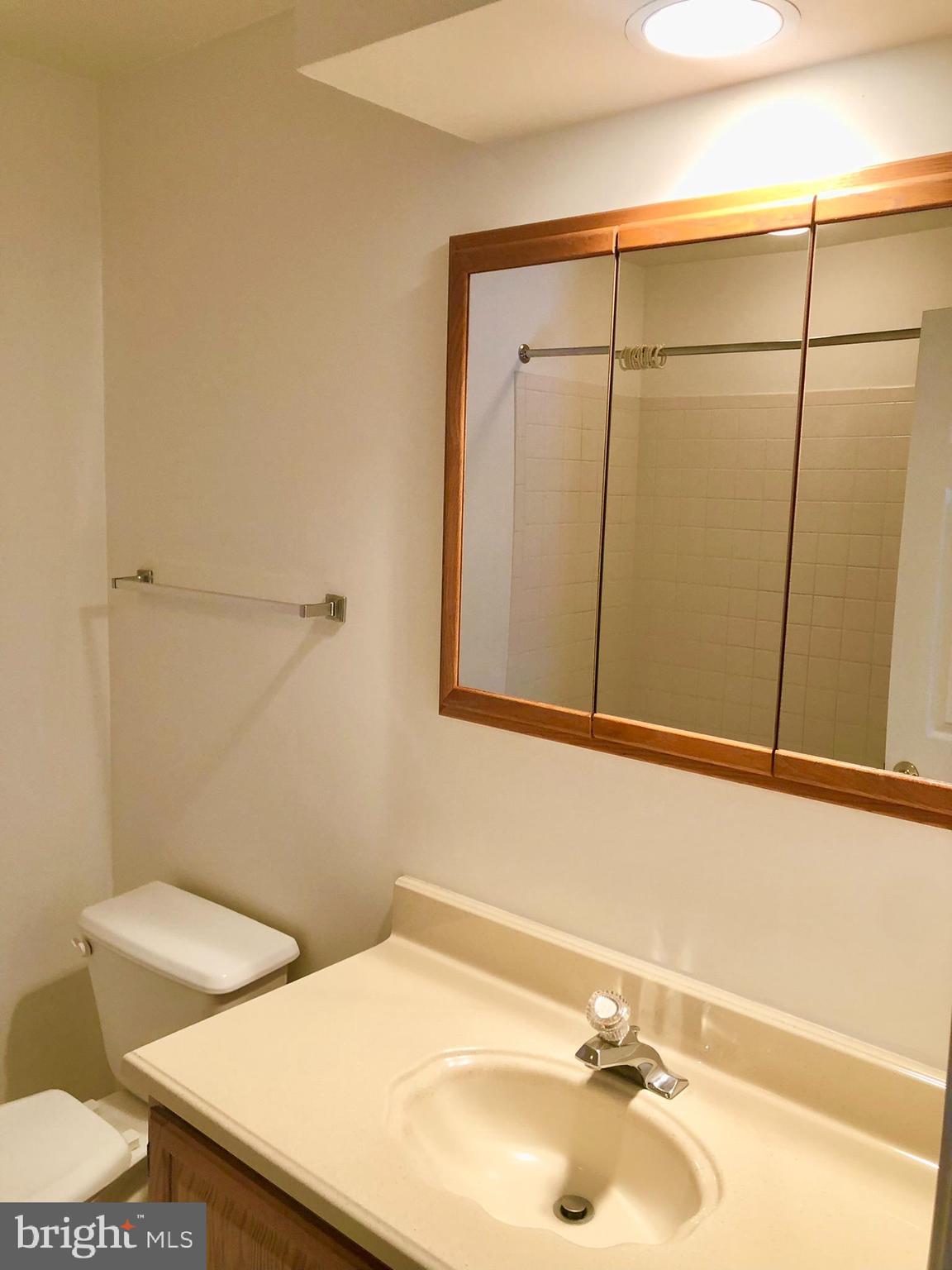 359 Freshfield Lane Arnold, MD 21012 - Photo 15 of 22 a bathroom with a sink and a toilet