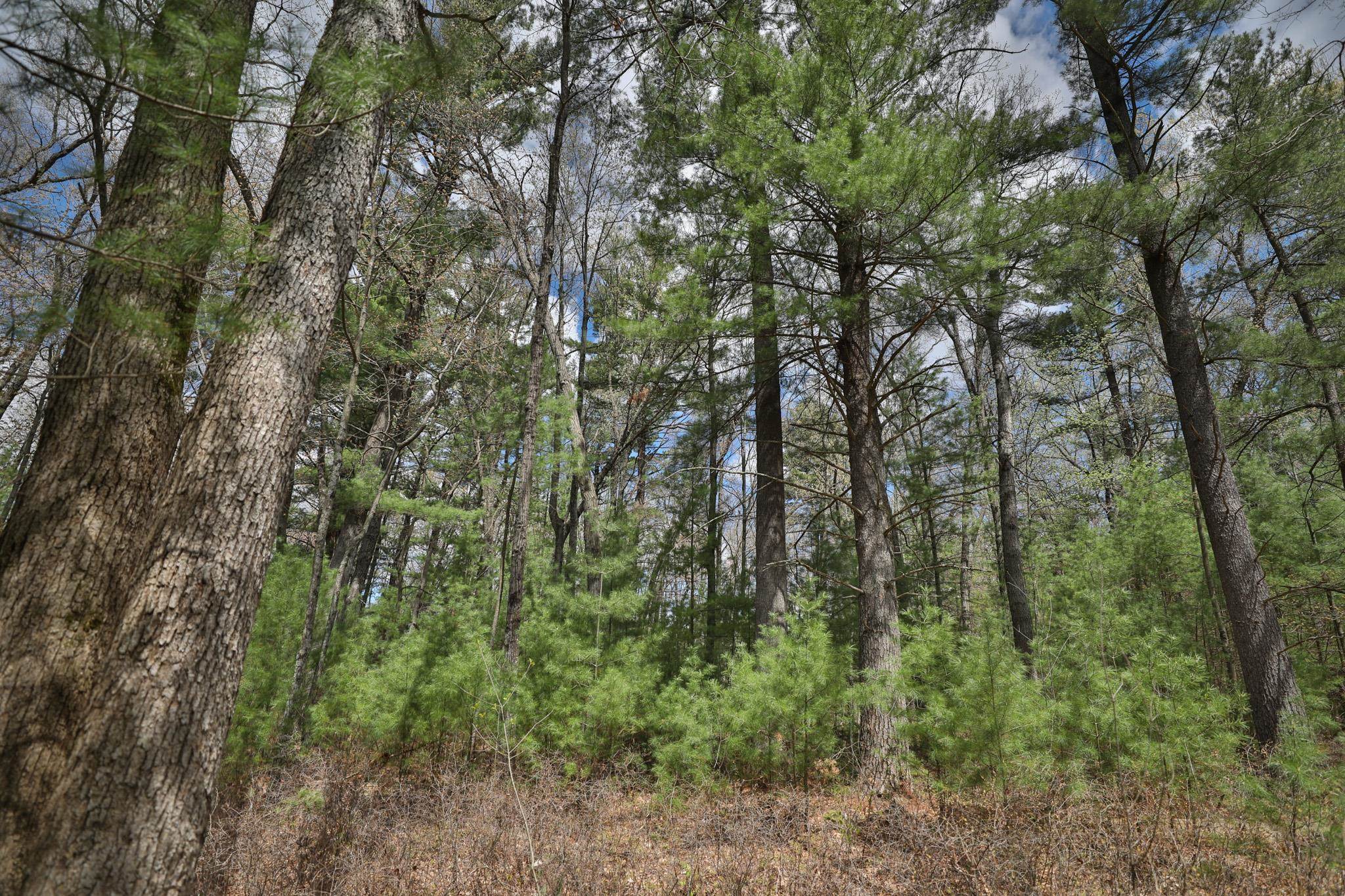 Lot 4 Grayling Tomah, WI 54660 - Photo 24 of 50