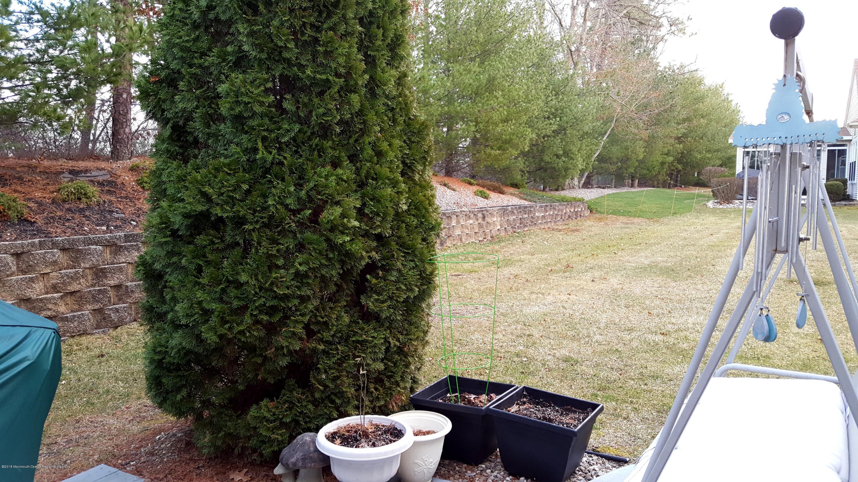 66 Eleanor Road Manchester Township, NJ 08759 - Photo 29 of 30 Backyard