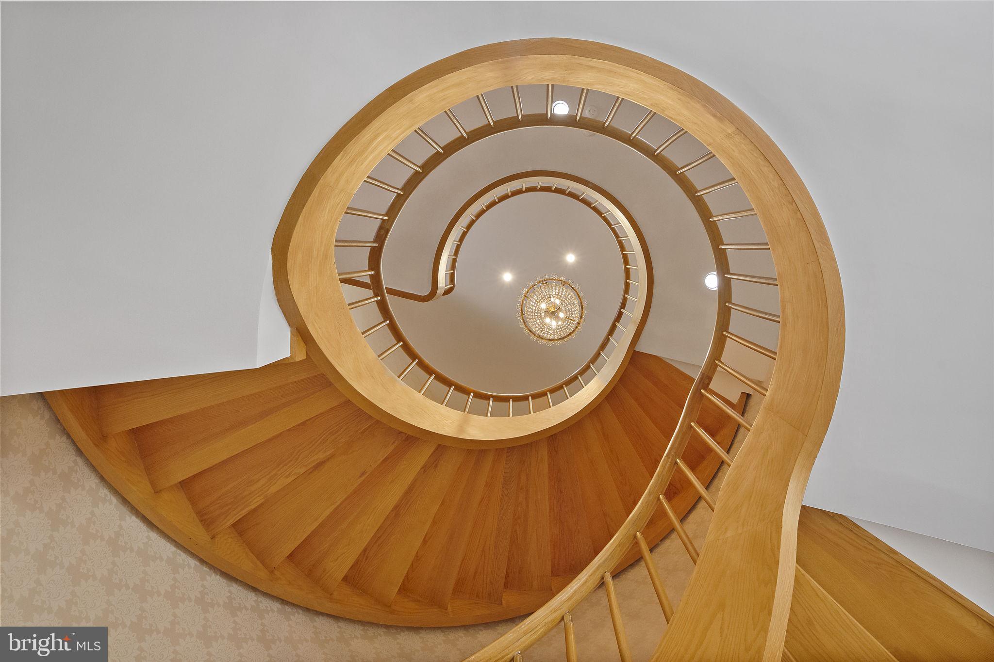 2344 S Street Northwest Washington, DC 20008 - Photo 13 of 52 Dramatic spiral staircase