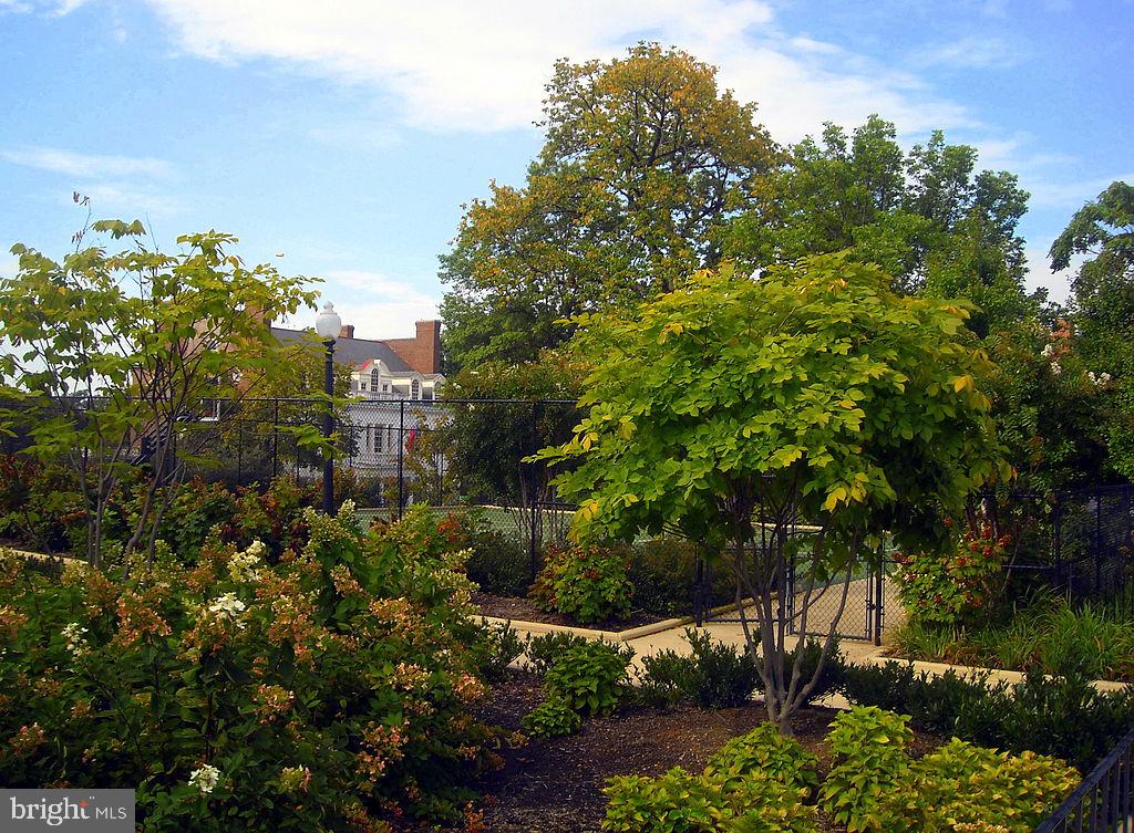 2344 S Street Northwest Washington, DC 20008 - Photo 51 of 52 Desirable Kalorama location