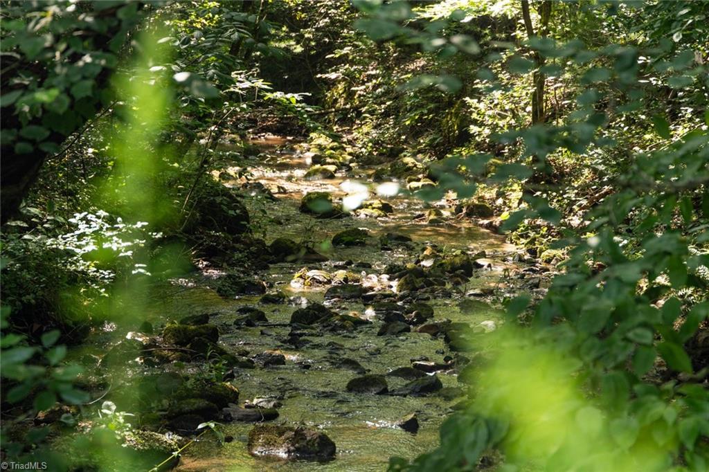 0 Boone Trail Purlear, NC 28665 - Photo 13 of 40 Gallery Image 13