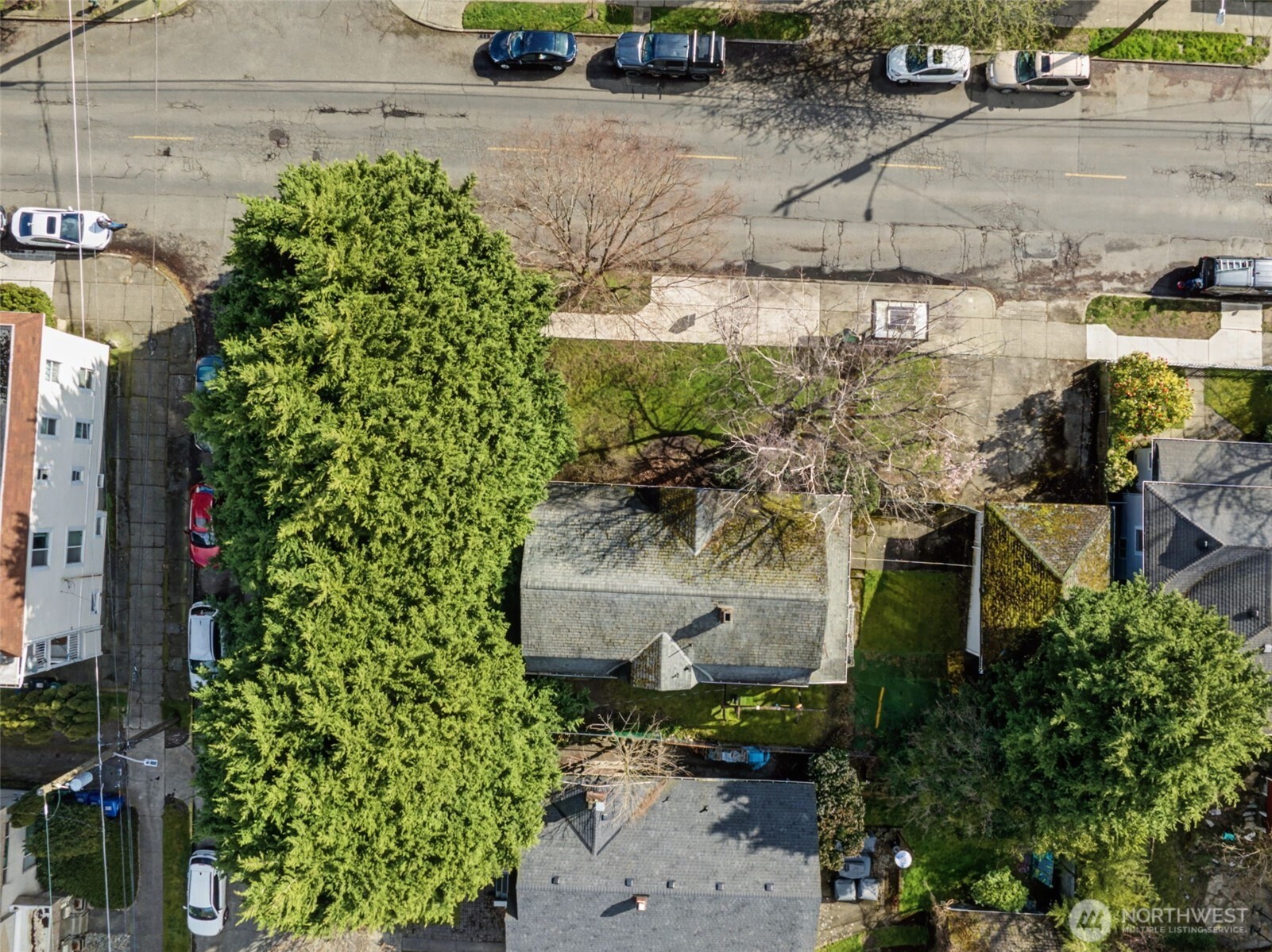 1857 North 54th Street Seattle, WA 98103 - Photo 5 of 9
