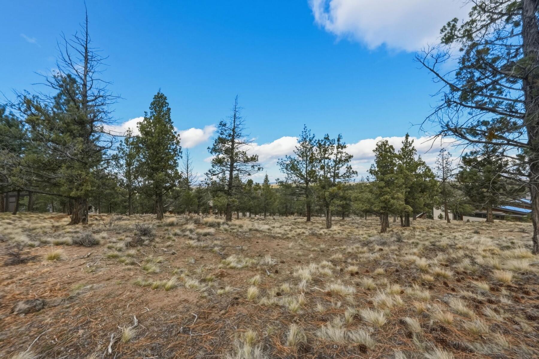 1560 Northwest Wild Rye Circle Bend, OR 97703 - Photo 13 of 18 batch_13 - 12 - 29-web-or-mls-Riley_Visu