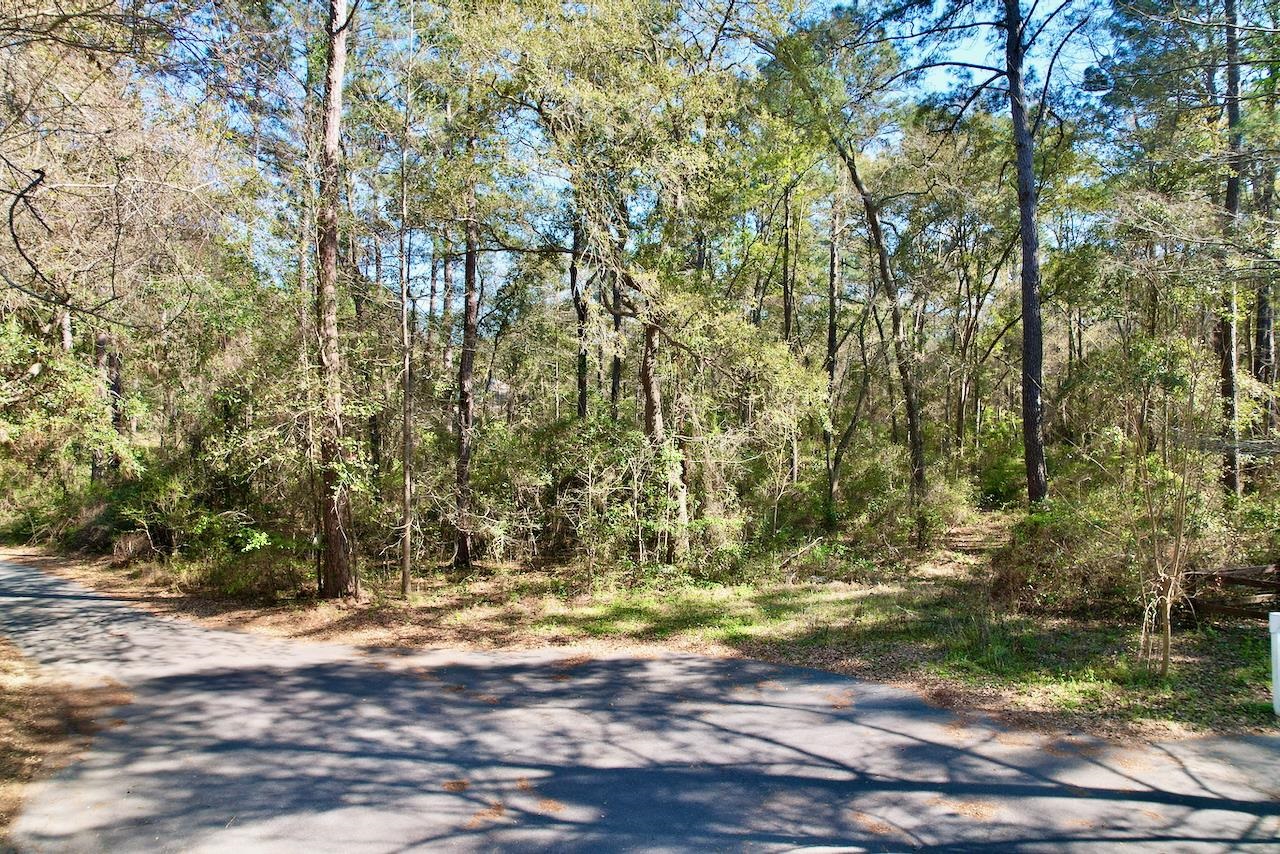 0 Amber Valley Road Tallahassee, FL 32312 - Photo 20 of 38 Gallery Image 20