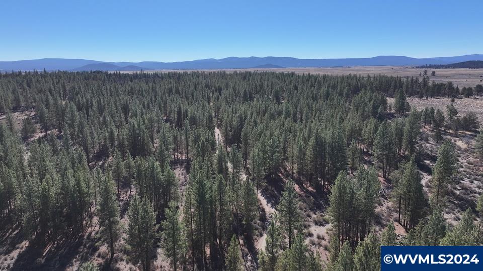 600 Oregon Pines Road Chiloquin, OR 97624 - Photo 7 of 49