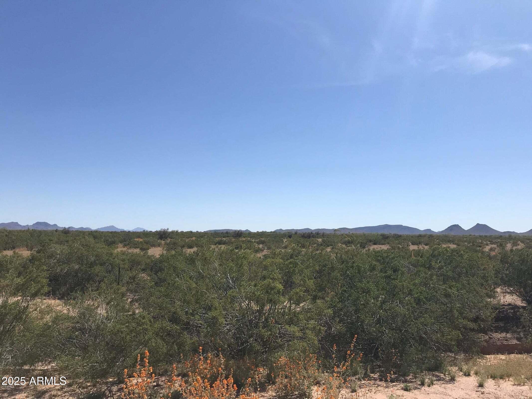 0 West Connelly Road Stanfield, AZ 85172 - Photo 2 of 3 a view of a mountain range with trees in the background